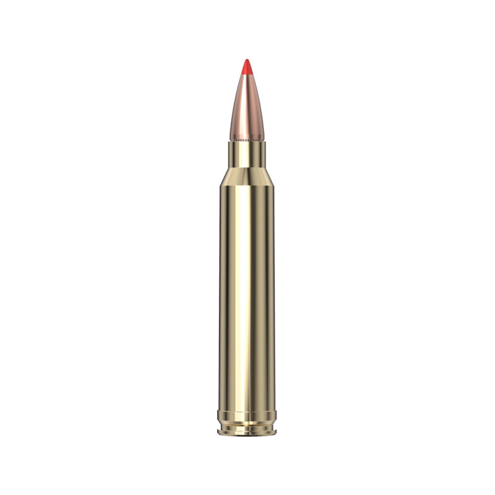Hornady 300 WIN MAG 180GR SST SPF