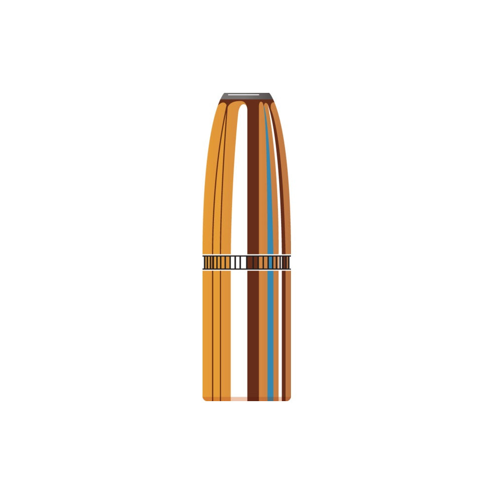 375 Cal (.375 Diameter) DGX Bonded 300gr Projectiles