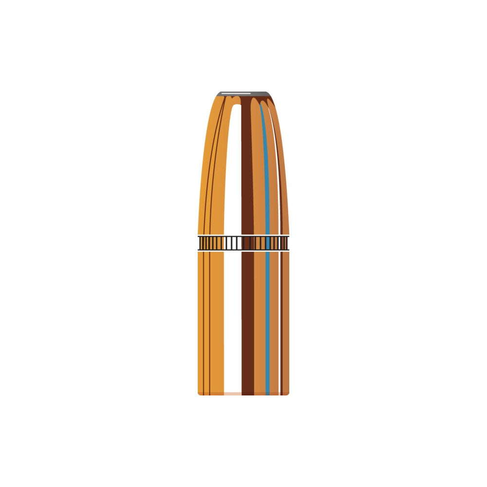 Hornady 416 Cal (.416 Diameter) DGX Bonded 400gr Projectiles