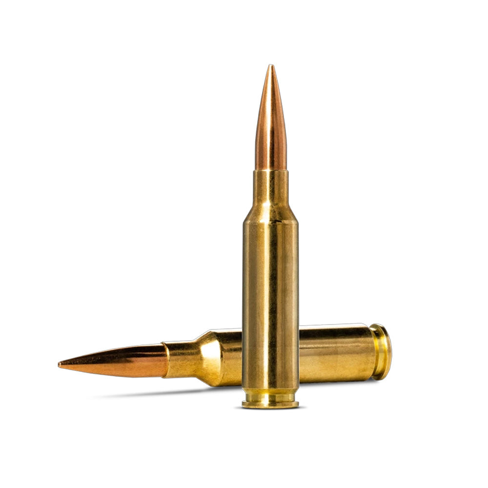 Norma 6.5 CM 143gr Golden Target