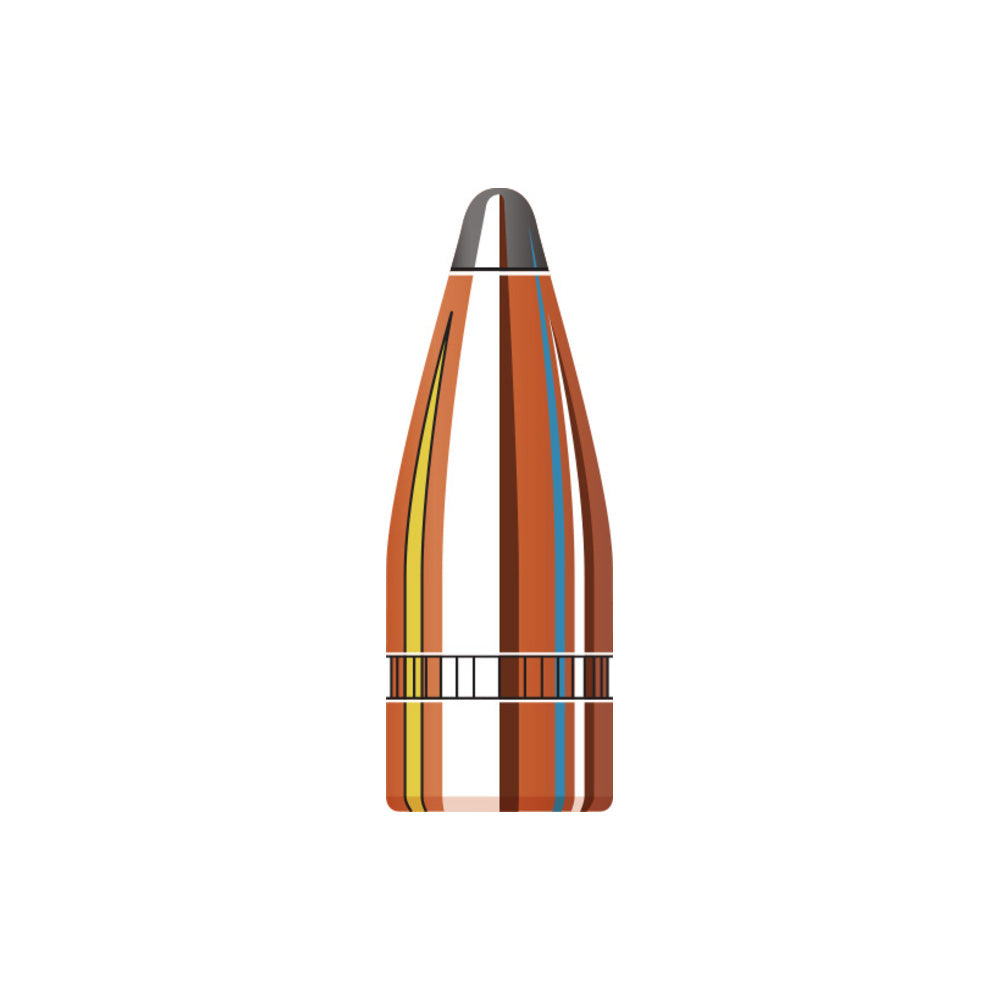7.62 Cal (.310 Diameter) SP 123gr Projectiles