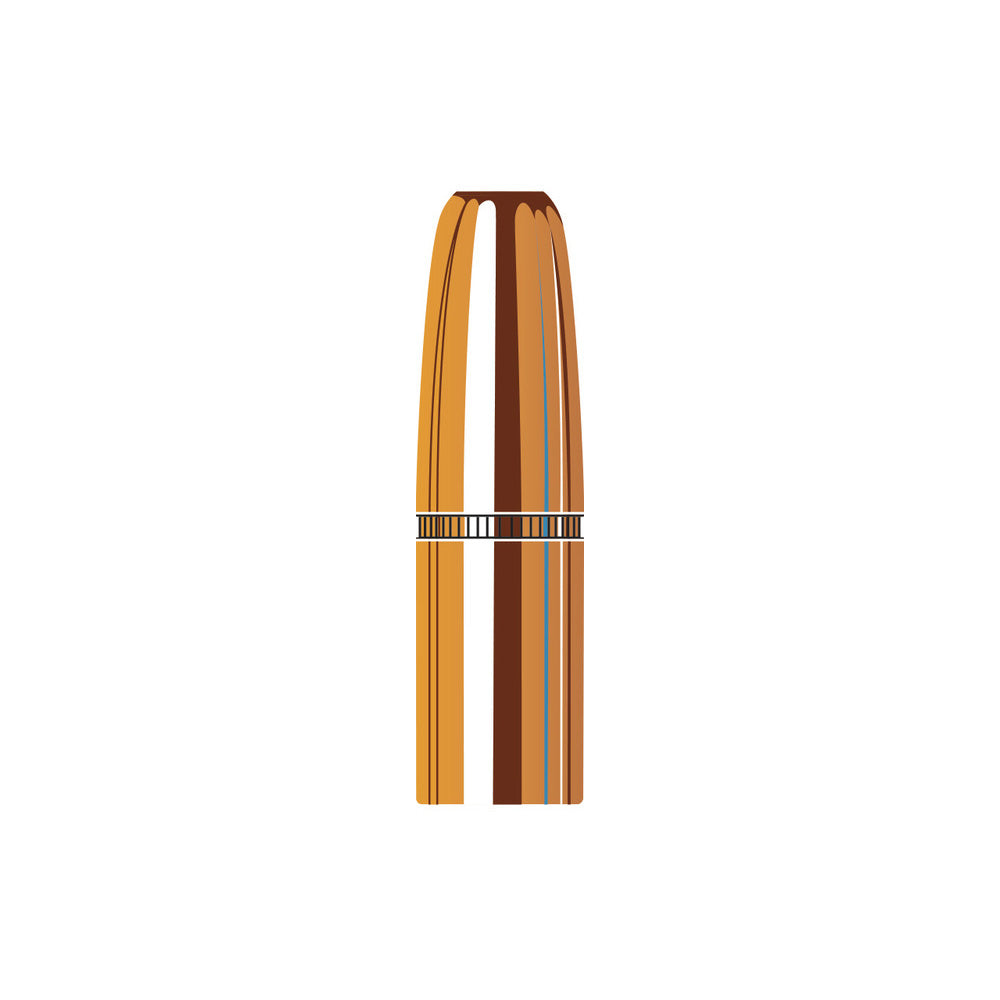 Hornady 9.3mm (.366 Diameter) DGS 300gr Projectiles