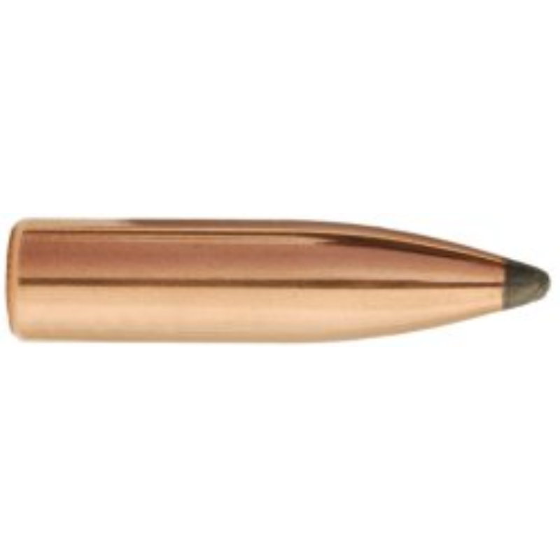 Sierra 1540 6mm 100gr Spitzer