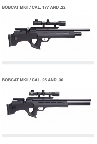 Pre Owned: FX Bobcat MKII .25cal
