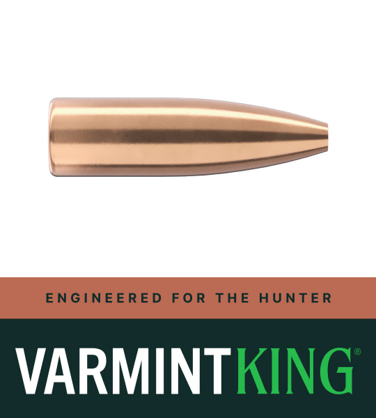 Sierra 1710 6.5 100gr Hollow Point - Sierra