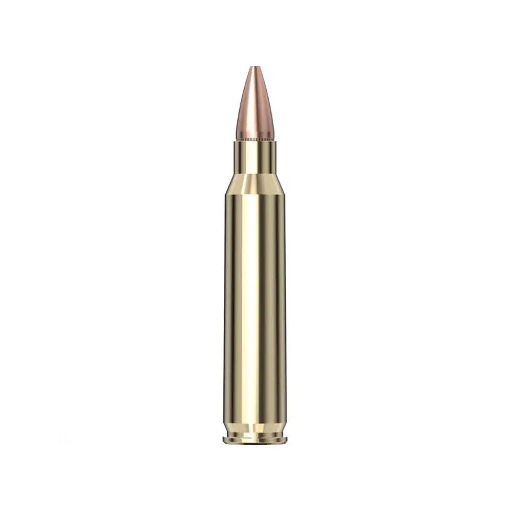 Hornady 223 REM 55gr HP AG