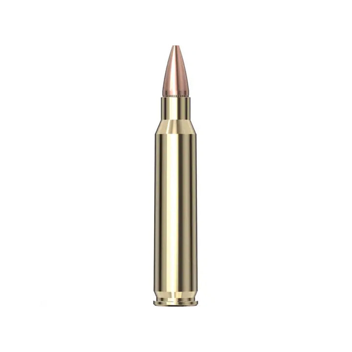 Hornady 223 REM 55gr HP AG