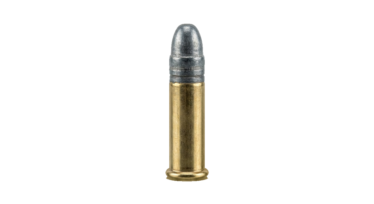 .22 Long Rifle