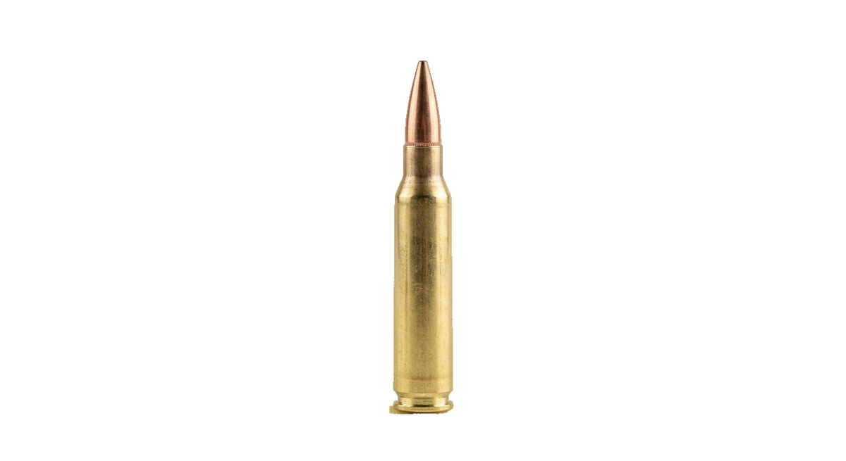 .223 Remington