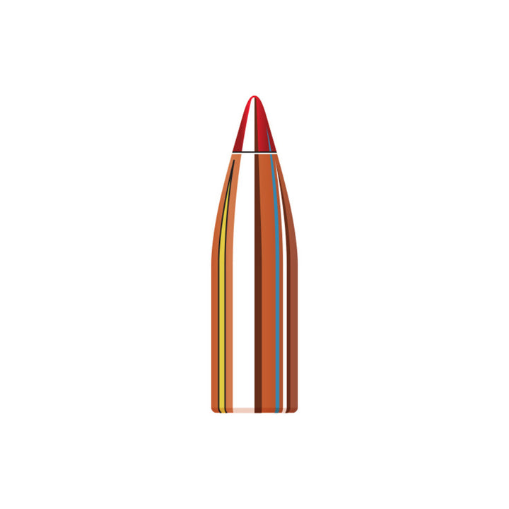 22 Cal (.224 Diameter) VMAX 55gr Projectiles