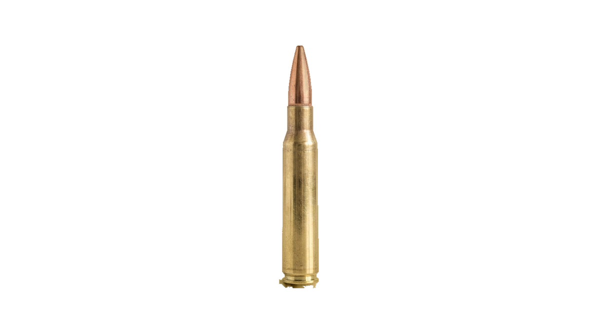 .30-06 Springfield