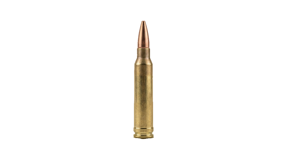 .300 Winchester Magnum