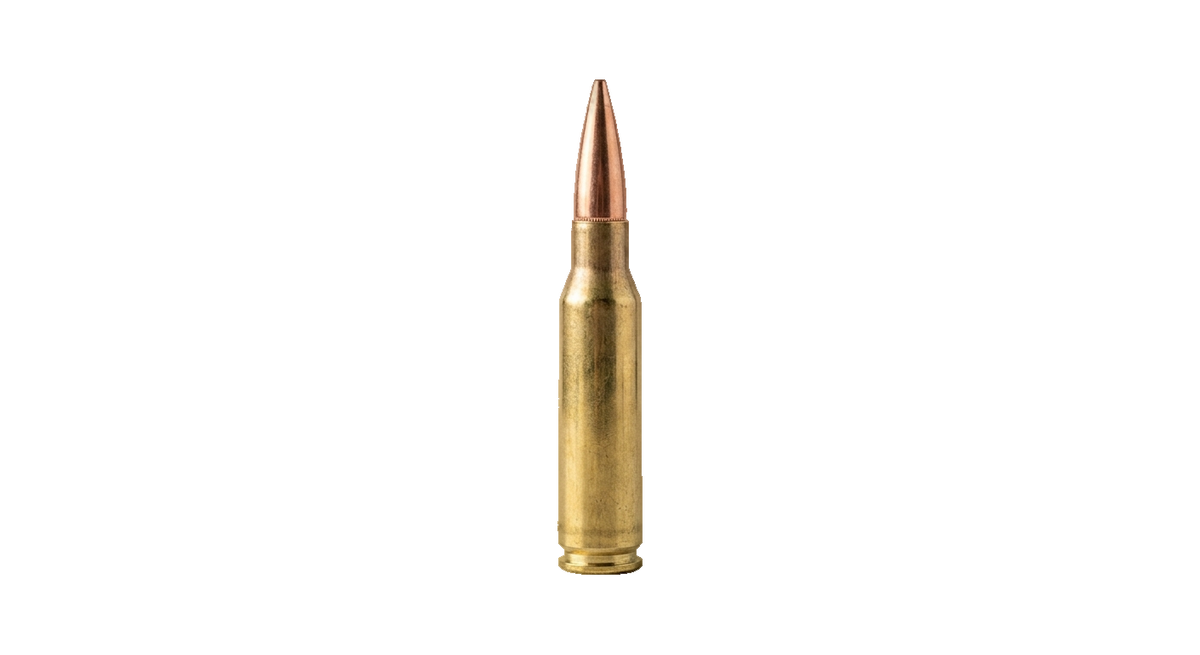 .308 Winchester