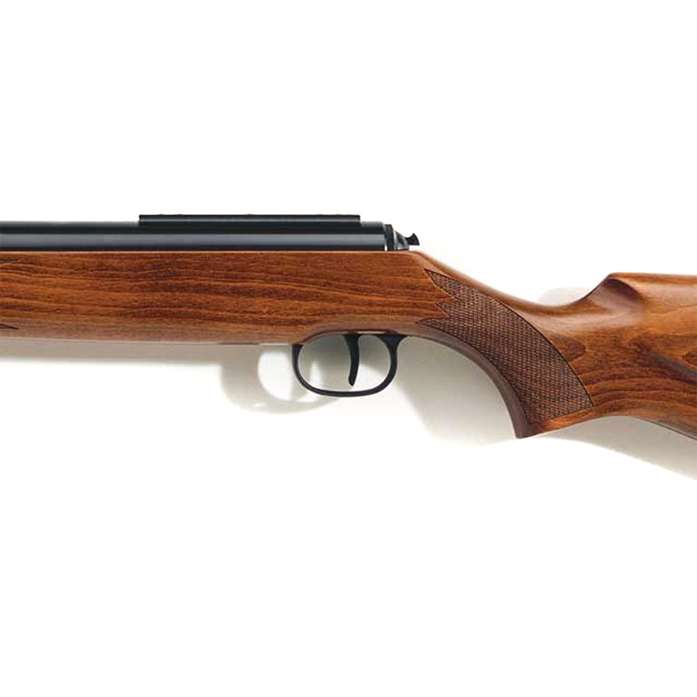 460 Magnum Air Rifle