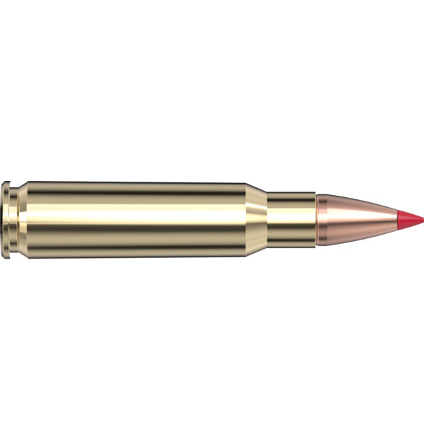 Hornady 9.3X62 286gr SP INTL