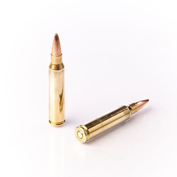 Fiocchi Ammunition FIOCCHI 223 REM 50GR HP