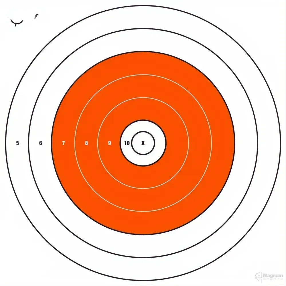 Allen Ez Aim Paper Targets