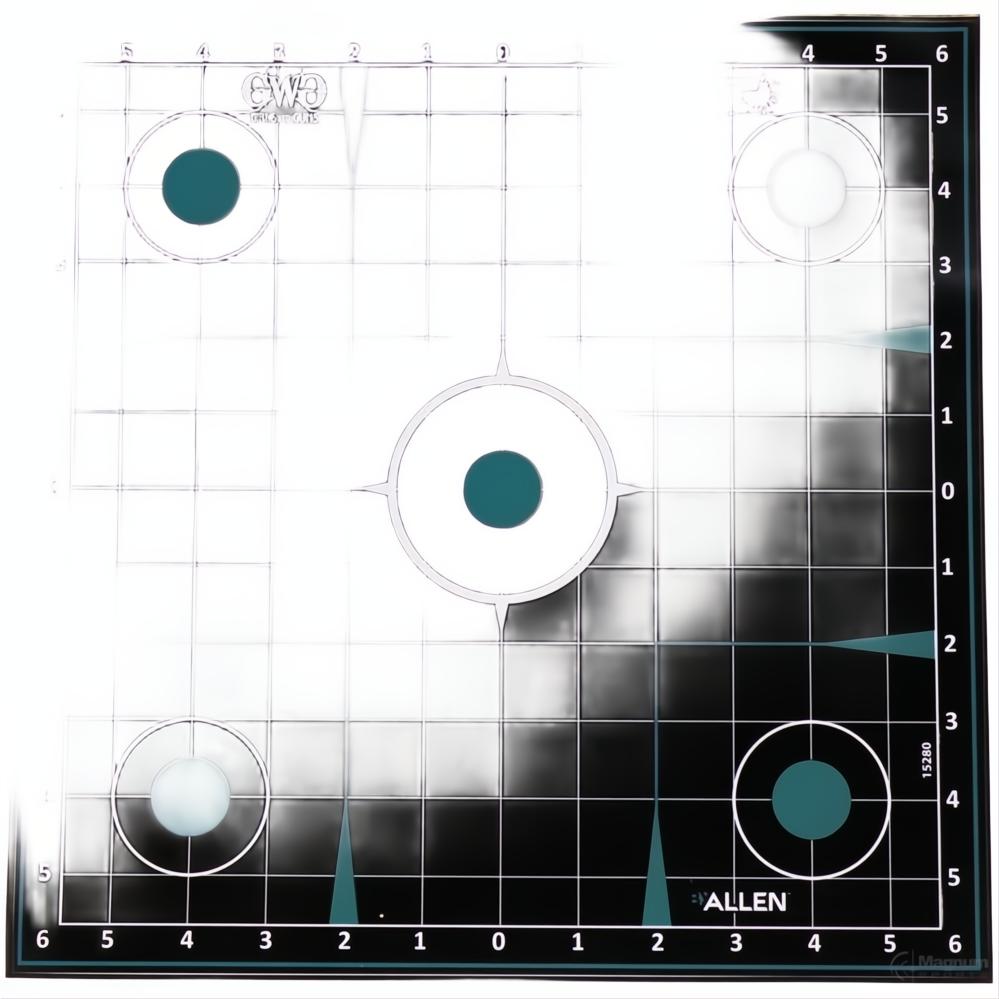 Allen Girls With Guns Splash Adhesive Targets