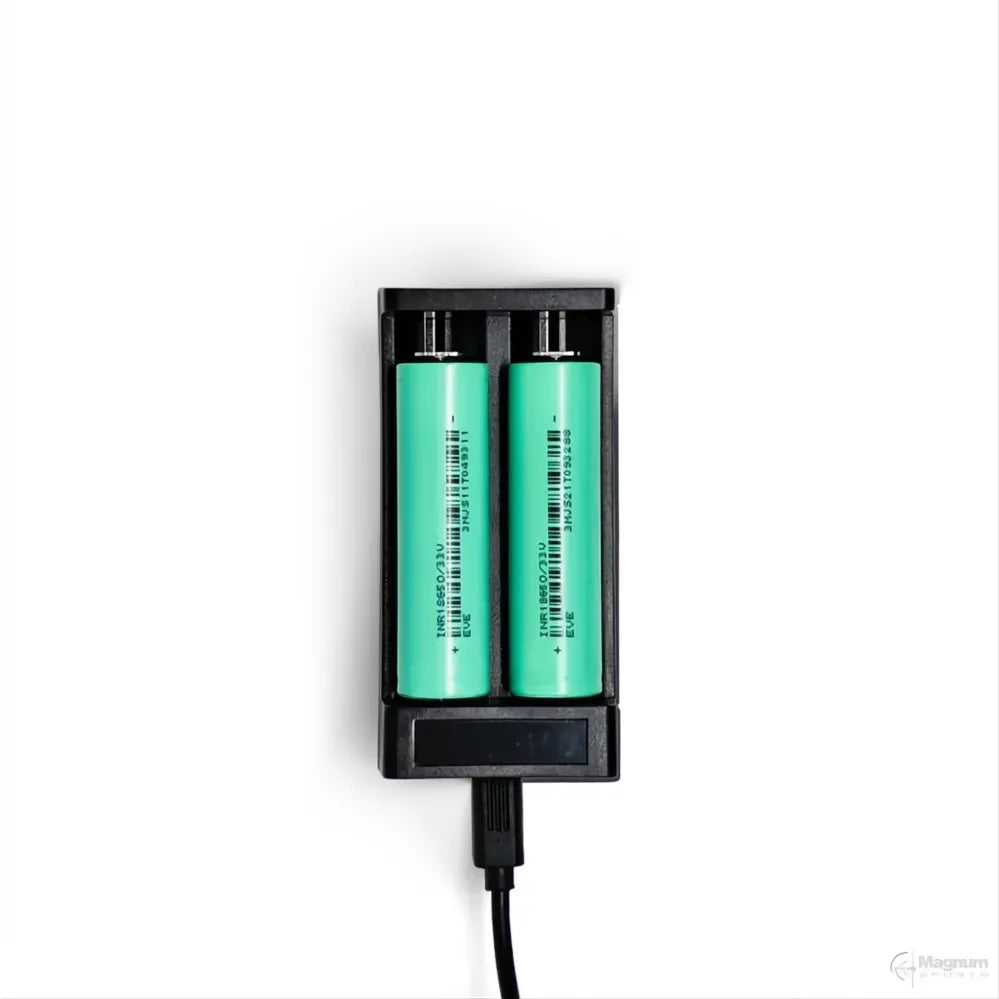Arken/DNT 2×21700 Battery and charger