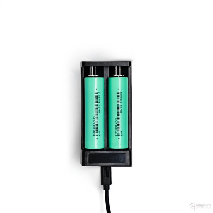 Arken/DNT 2×21700 Battery and charger