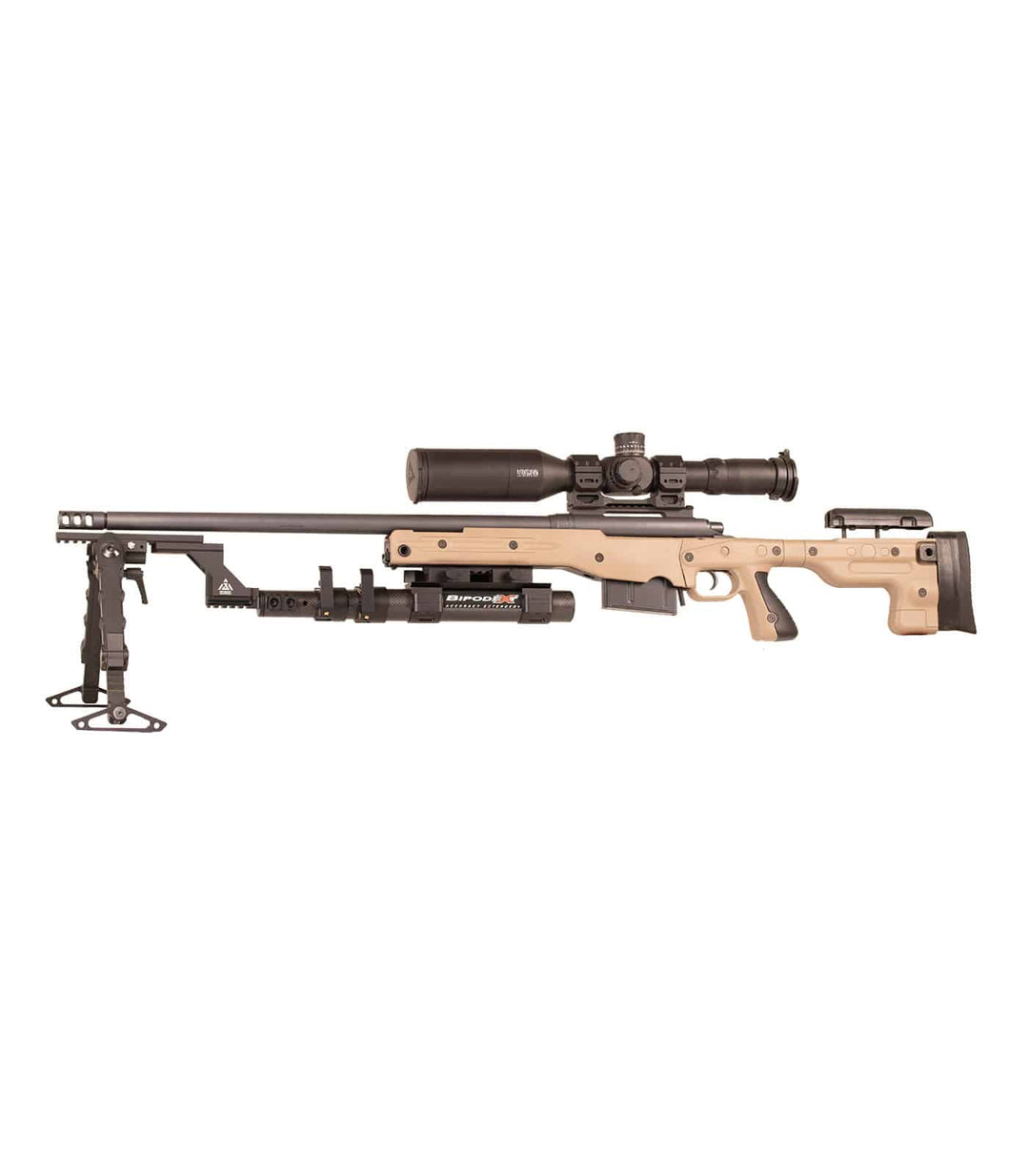 Accuracy Solutions The Queen&