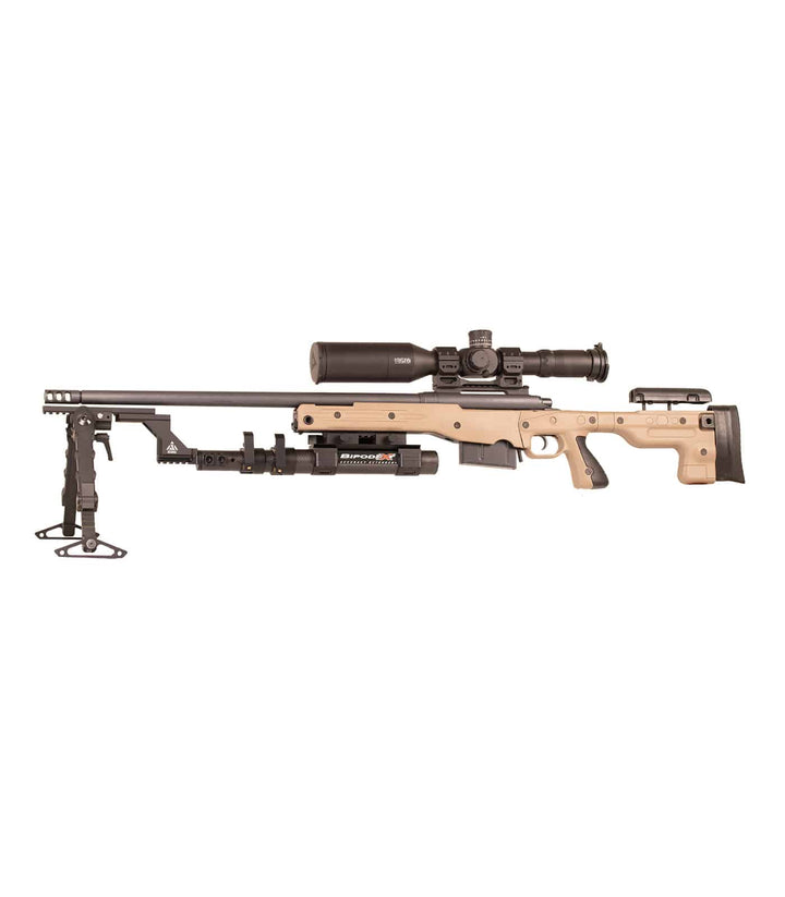 Accuracy Solutions The Queen&