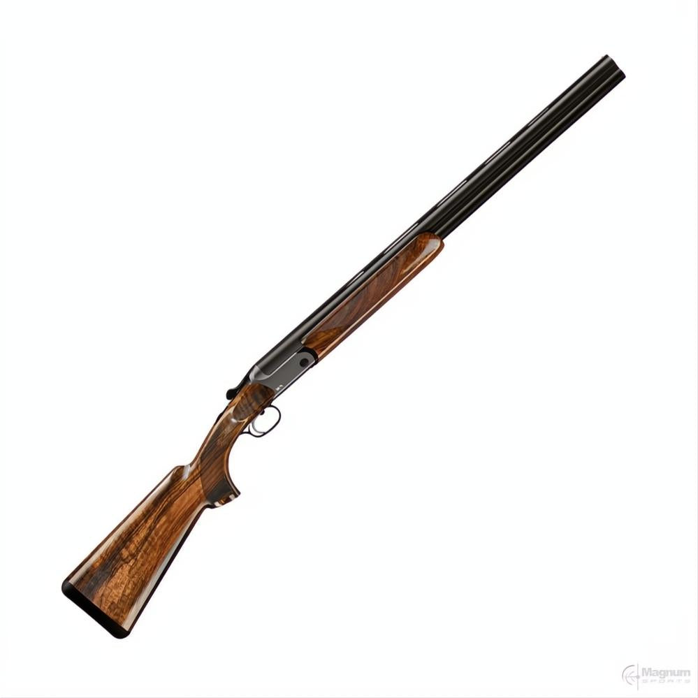 Blaser F16 Game
