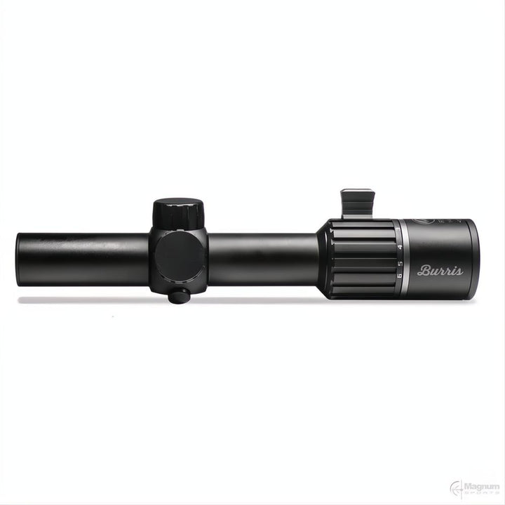 Burris RT6 1-6x24