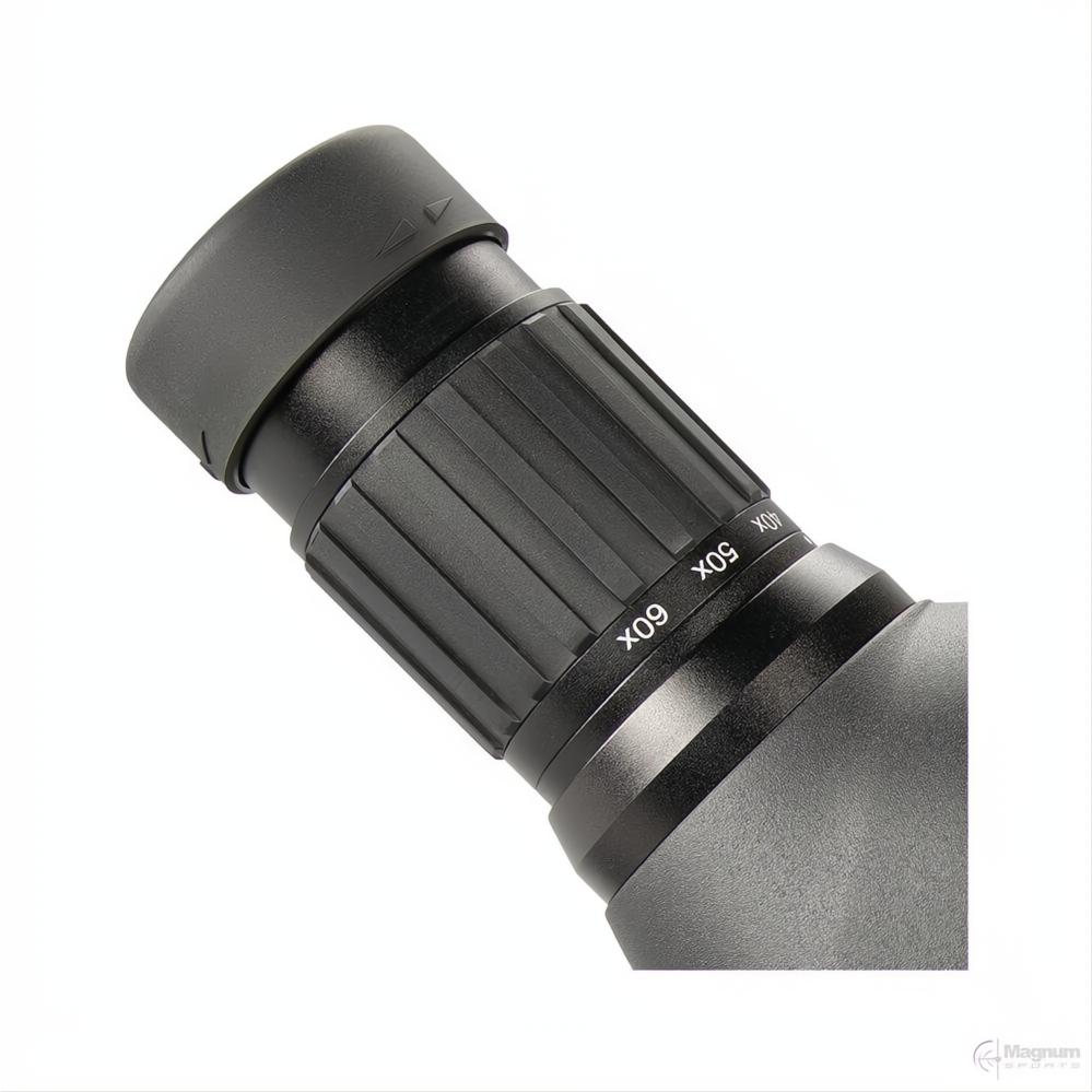 Bushnell Engage DX 20-60x80