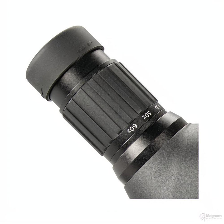Bushnell Engage DX 20-60x80