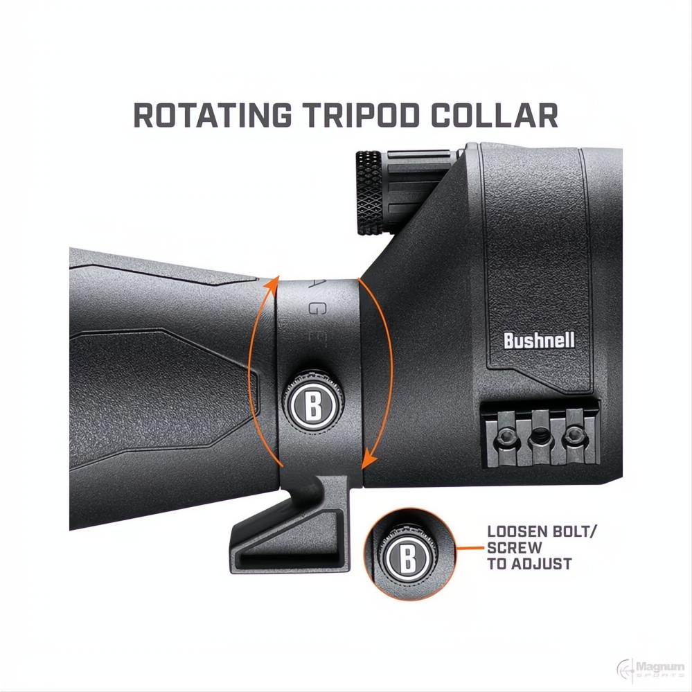 Bushnell Engage DX 20-60x80