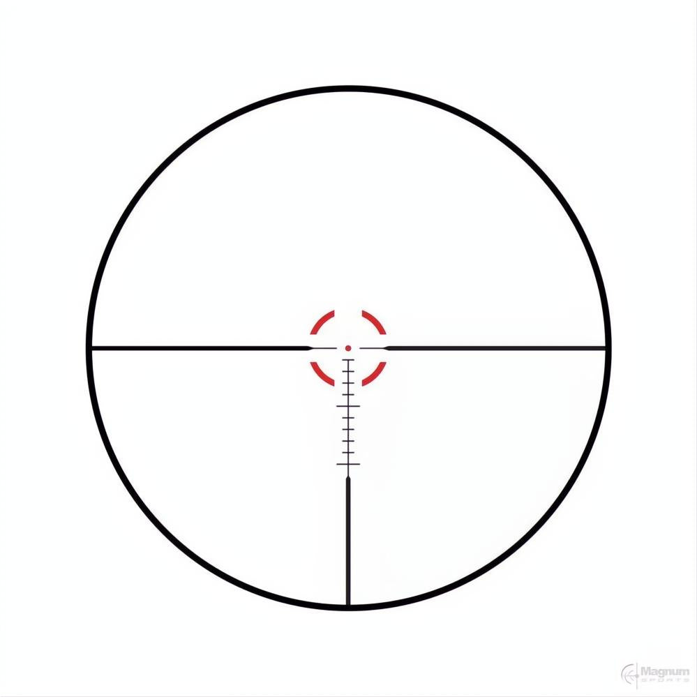 Bushnell Trophy R5 1-6x24
