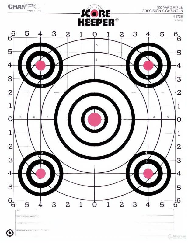Champion Target 100Yd Rifle Sight In O/B