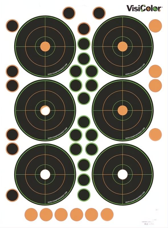 Champion Target Visicolor Adhesive Small Bore 25Yd 5 Pack + Patches