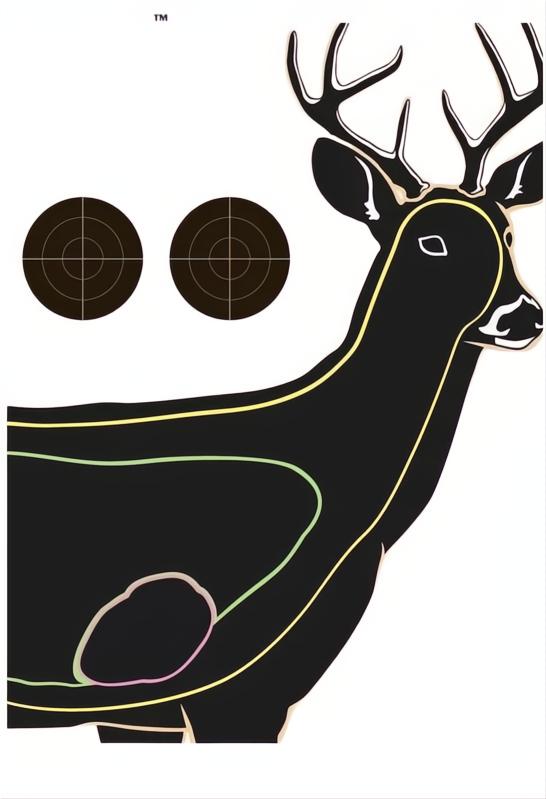Champion Visicolor Target
