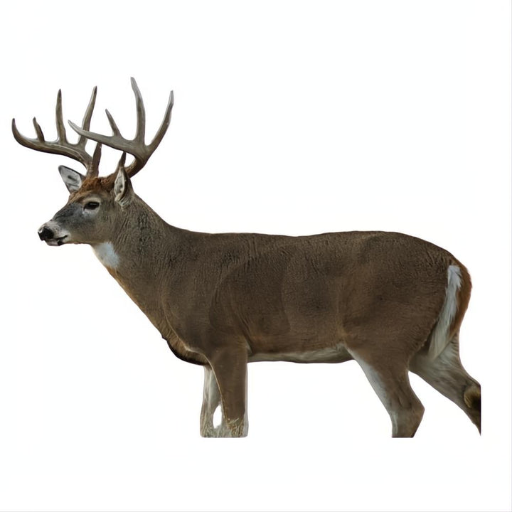 Champion Visicolor Target Real Life Big Game