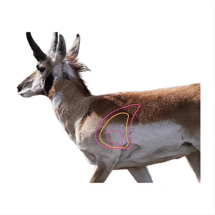 Champion Visicolor Target Real Life Big Game
