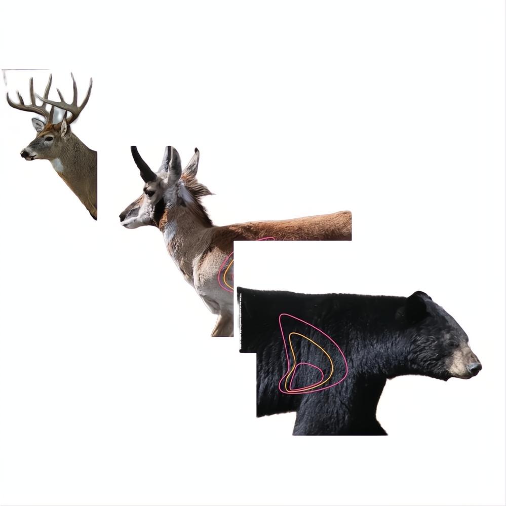Champion Visicolor Target Real Life Big Game