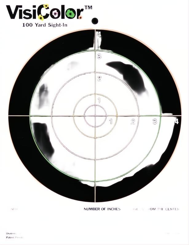 Champion Visicolor Target