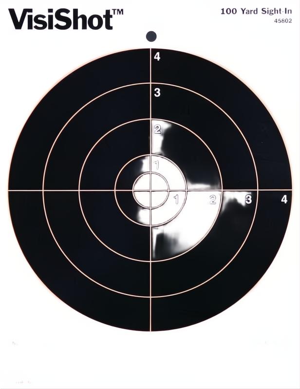 Champion Visishot Bulls Eye Target 10 Pack