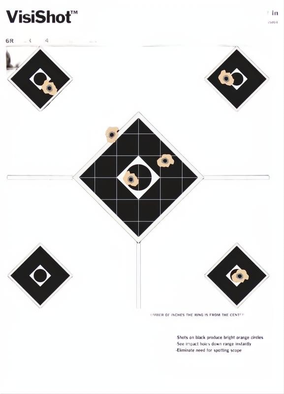 Champion Visishot Sight In Target 10 Pack