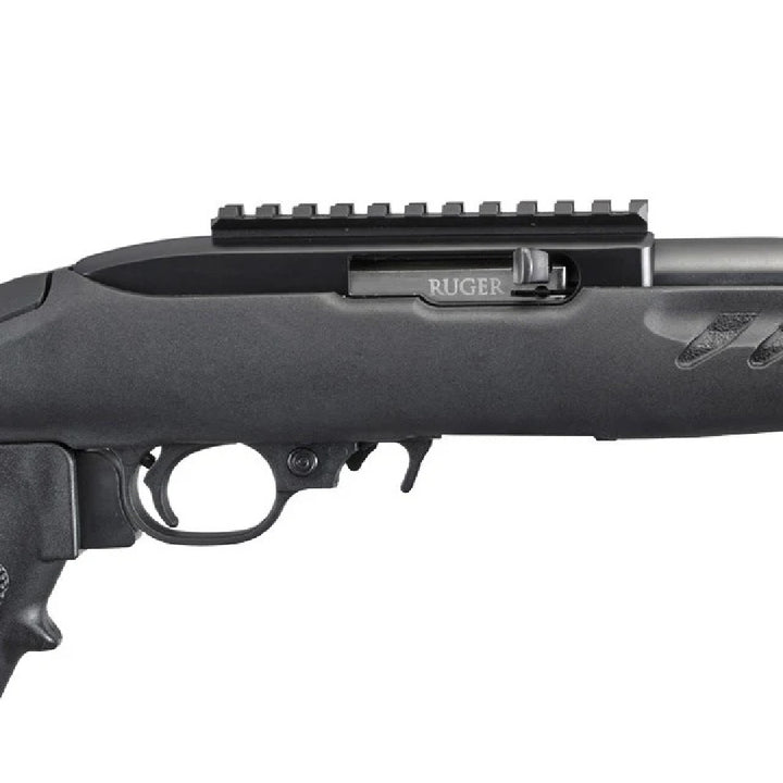 Ruger Charger Blue Synthetic