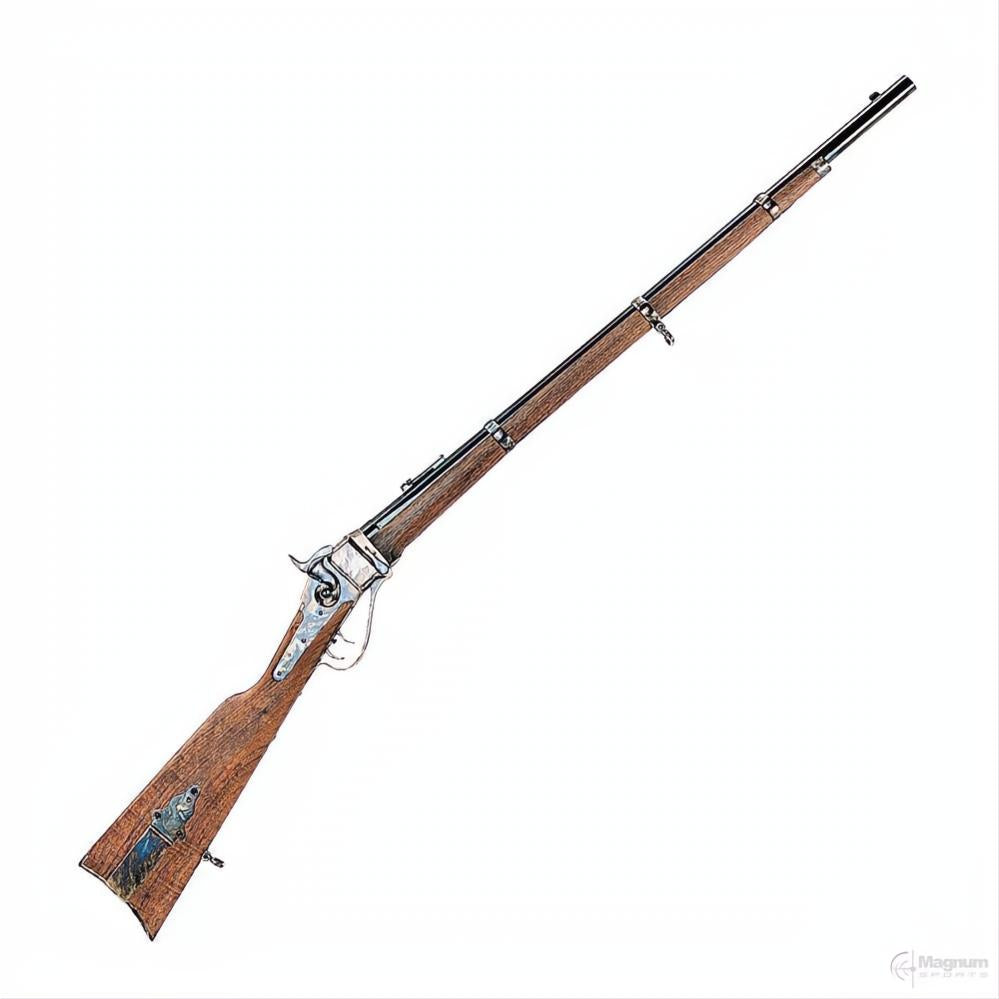 Chiappa Firearms 1874 Sharps Berdan Rifle Colour Case