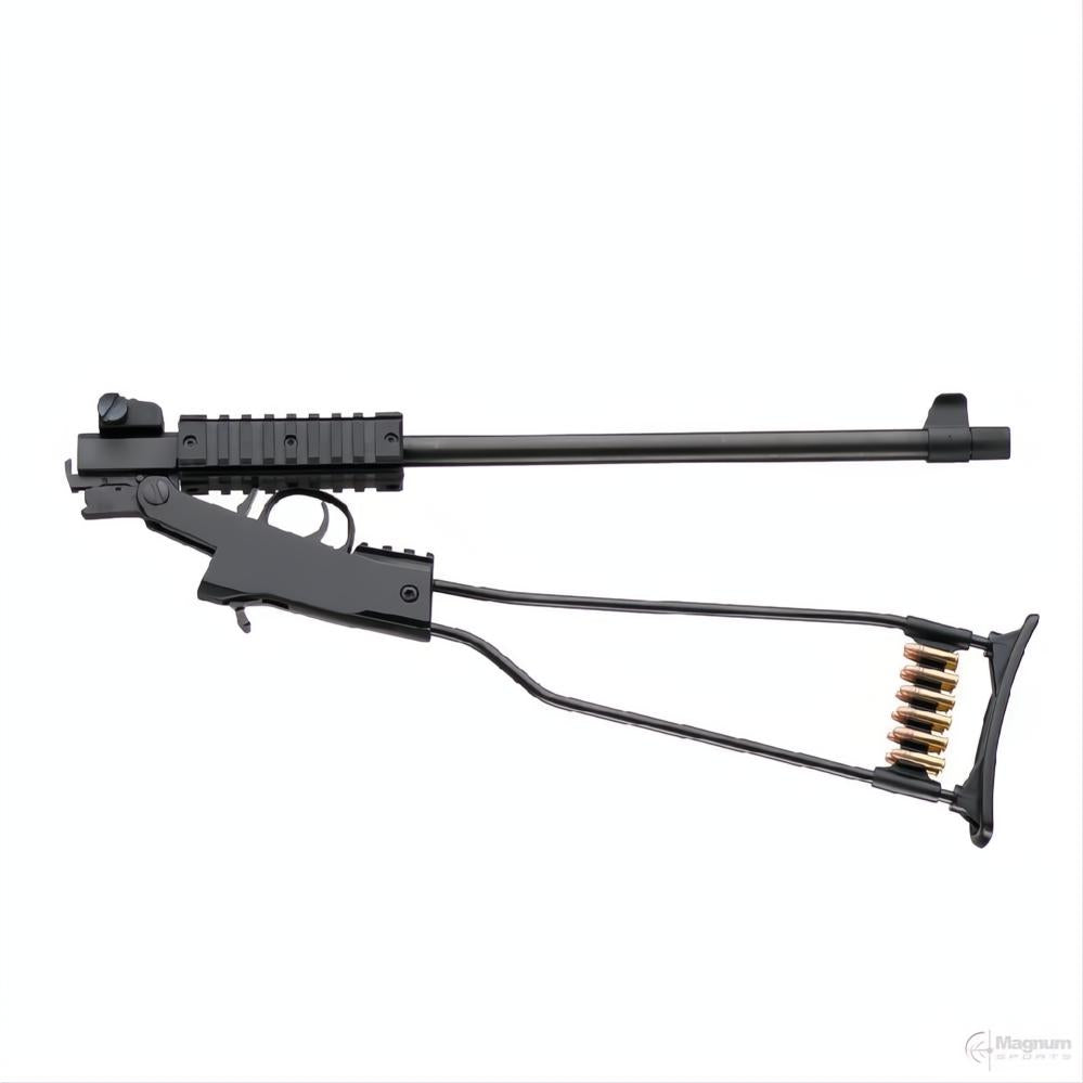 Chiappa Firearms Little Badger Blued