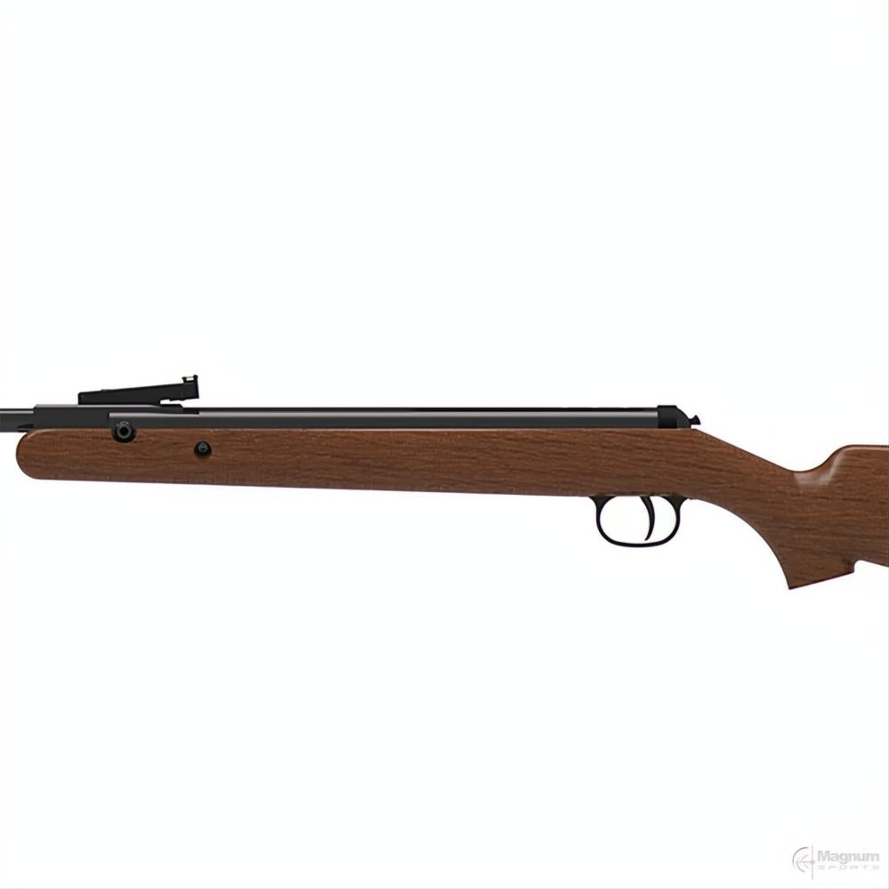 Diana 34 EMS Air Rifle