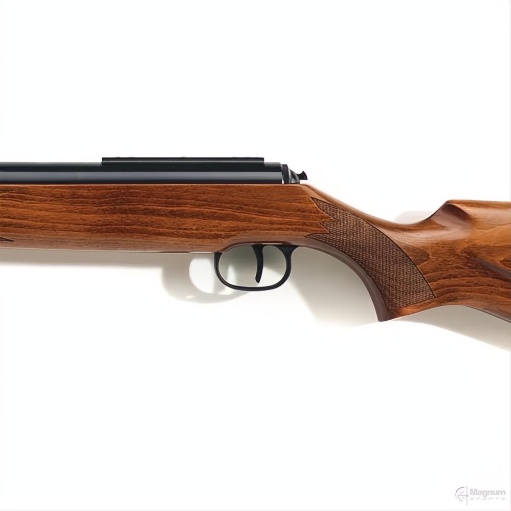 Diana 460 Magnum Air Rifle