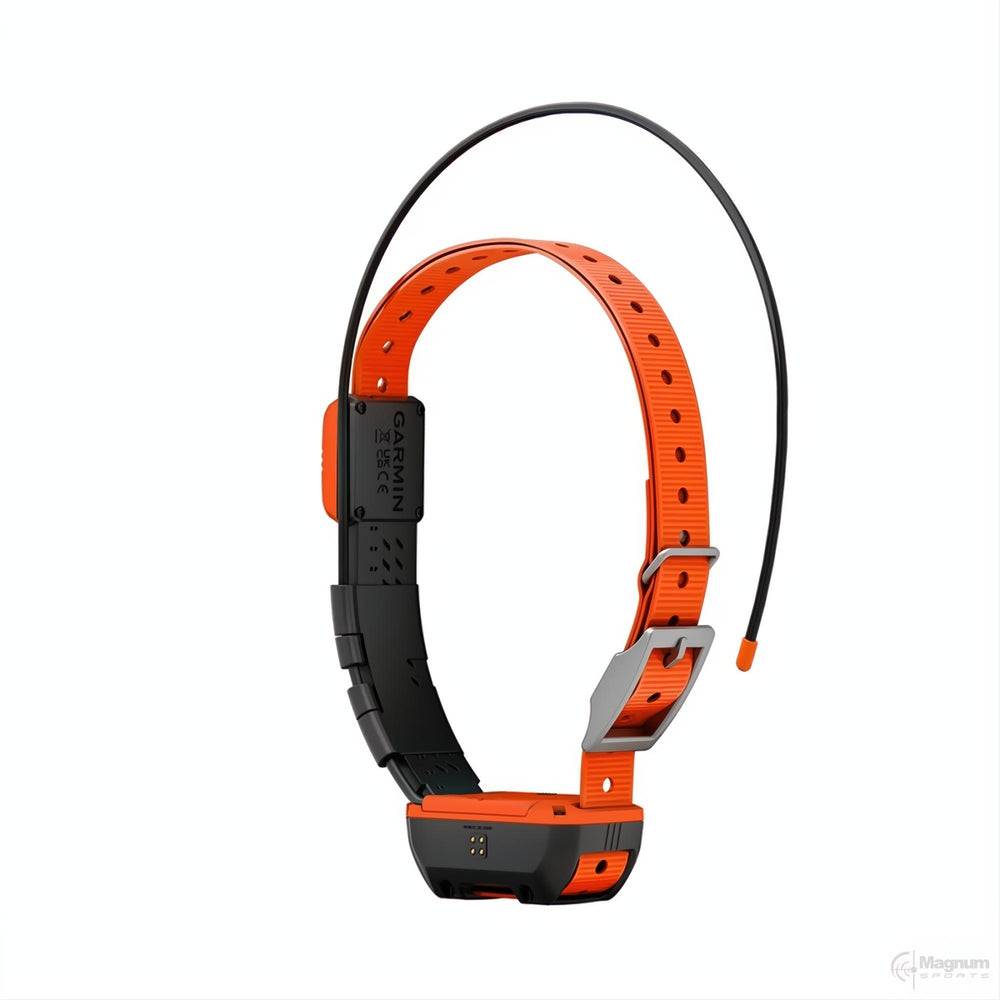 Garmin Alpha T20 Gps Collar