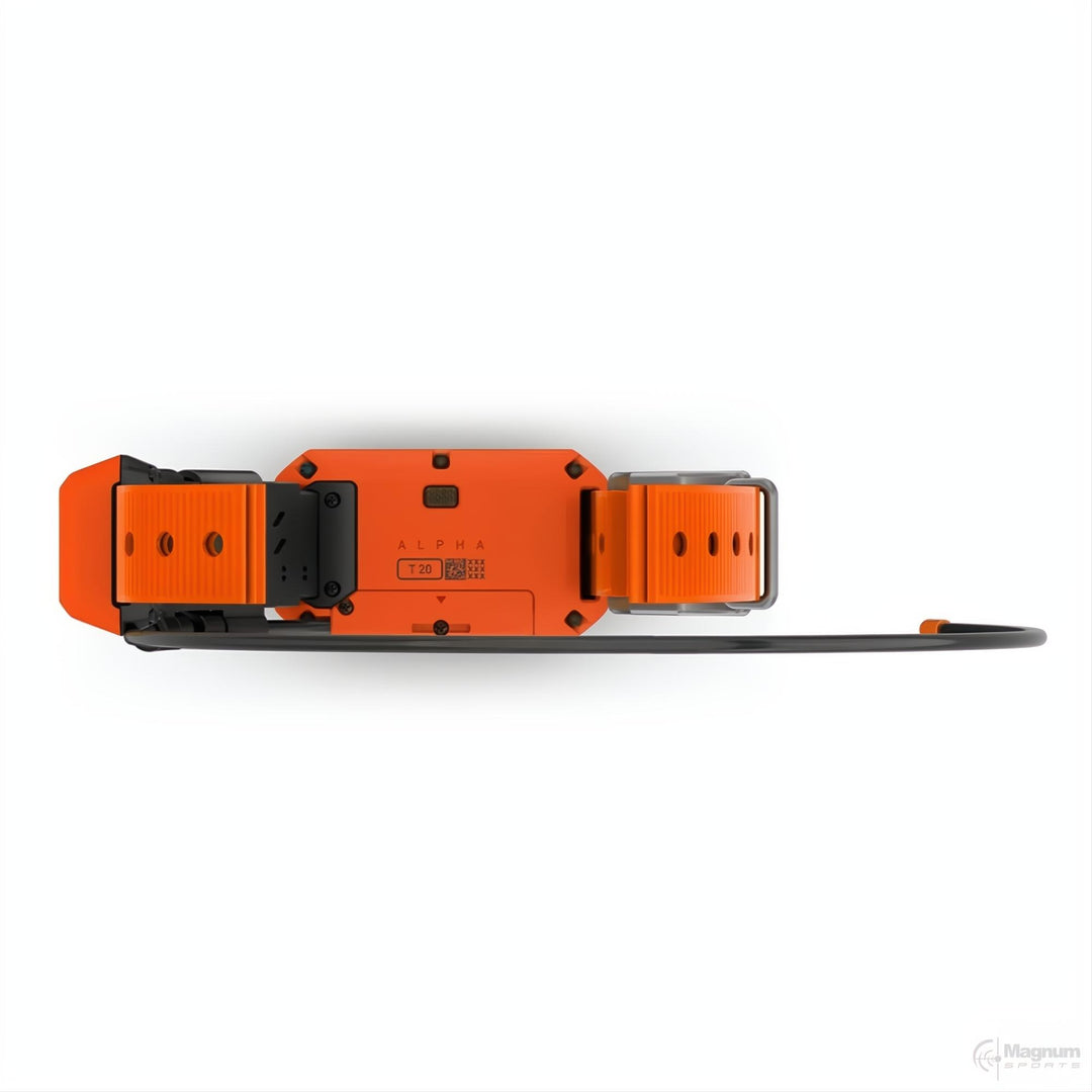 Garmin Alpha T20 Gps Collar