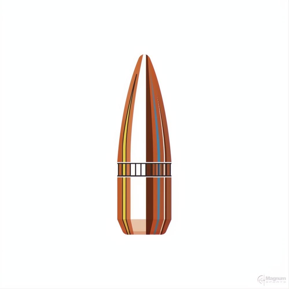Hornady 22 Cal (.224 Diameter) FMJ-BT 55gr Projectiles