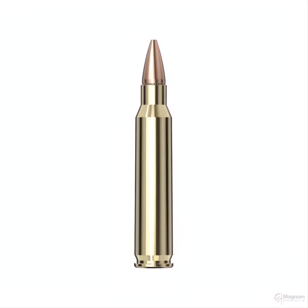 Hornady 223 REM 55gr HP AG